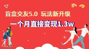 盲盒交友5.0,玩法全新升级,一个月直接变现1.3W,新手小白轻松上手【揭秘】-创客聚集地