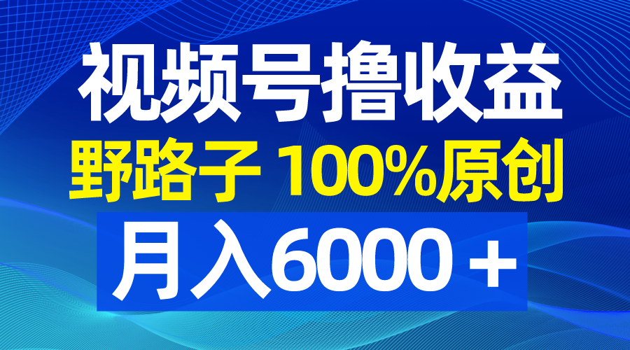 视频号野路子撸收益，100%原创，条条爆款，月入6000＋-创客聚集地