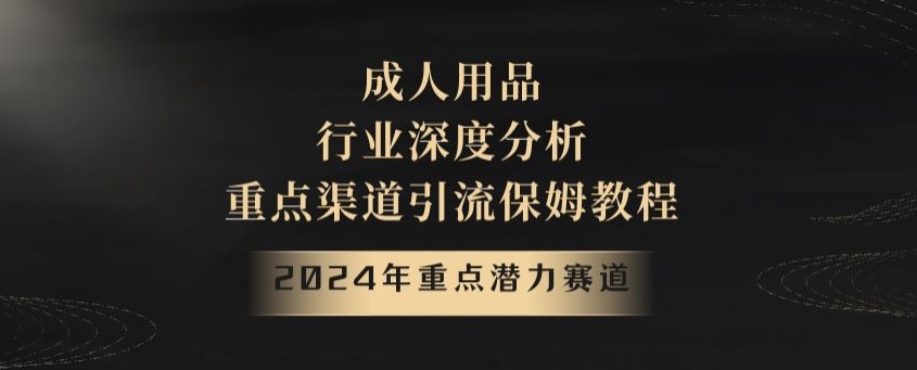2024年重点潜力赛道，成人用品行业深度分析，重点渠道引流保姆教程【揭秘】-创客聚集地