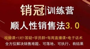爆款！销冠训练营3.0之顺人性销售法，全方位解决销售难题、可落地、可执行、有结果-创客聚集地