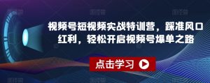 视频号短视频实战特训营，踩准风口红利，轻松开启视频号爆单之路-创客聚集地