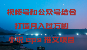 视频号和公众号结合打造月入过万的小说cps推文项目，包括市面上面的各种思路详解-创客聚集地