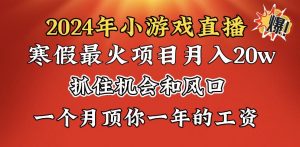 2024年寒假爆火项目，小游戏直播月入20w+，学会了之后你将翻身-创客聚集地