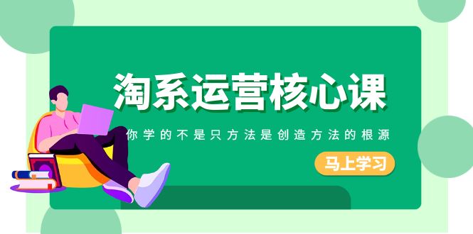 淘系运营核心课，你学的不只是方法而是创造方法的根源（190节课）-创客聚集地