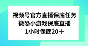 视频号直播任务，微恐小游戏，1小时20+-创客聚集地