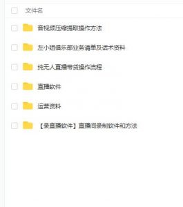 左小姐-直播带货俱乐部十三行、无人直播，全套教程附：工具、文档、话术资料-创客聚集地