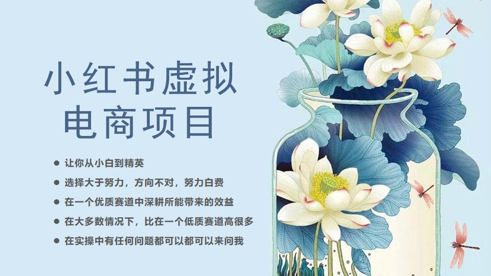 [小红书]小红书虚拟电商从0到1小白到精英（20节实操课程）-创客聚集地