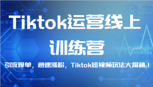 Tiktok运营线上训练营，引流爆单，急速涨粉，Tiktok短视频玩法大揭秘！-创客聚集地