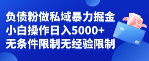 负债粉私域暴力掘金，小白操作入5000，无经验限制，无条件限制-创客聚集地