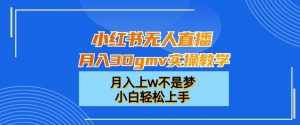 小红书无人直播月入30gmv实操教学，月入上w不是梦，小白轻松上手-创客聚集地