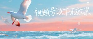 视频号做下雨视频，一个账号一周涨粉10W+，日入1000+附保姆级教程-创客聚集地