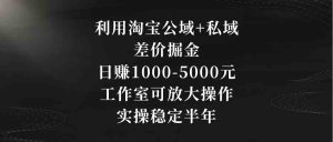 利用淘宝公域+私域差价掘金，日赚1000-5000元，工作室可放大操作，实操…-创客聚集地