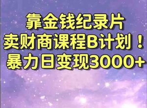靠金钱纪录片卖财商课程B计划！暴力日变现3000+，喂饭式干货教程！-创客聚集地
