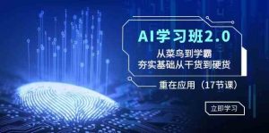 AI学习班2.0：从菜鸟到学霸，夯实基础从干货到硬货，重在应用（17节课）-创客聚集地