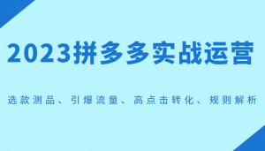2023拼多多实战运营，选款测品、引爆流量、高点击转化、规则解析-创客聚集地