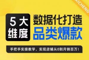 5大维度，数据化打造电商品类爆款特训营，一套高效运营爆款方法论-创客聚集地