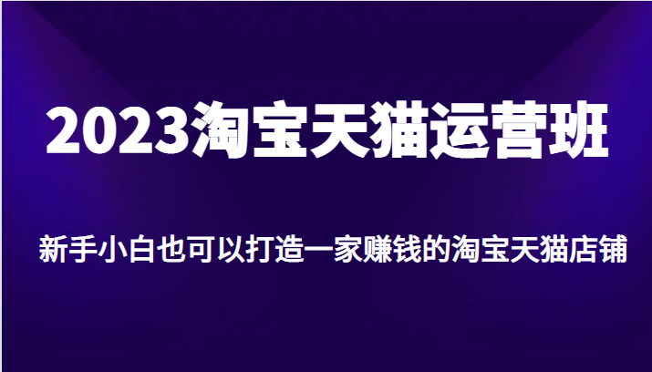 2023淘宝天猫运营班，新手小白也可以打造一家赚钱的淘宝天猫店铺-创客聚集地