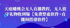 天庭蟠桃会无人直播教程，无人值守礼物收到爆【免费整蛊软件+直播间搭建软件】-创客聚集地