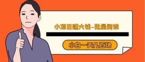 小项目赚大钱《批量阅读》小白一天几百块-创客聚集地