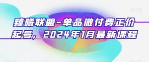 臻曦联盟-单品微付费正价起号，2024年1月最新课程-创客聚集地
