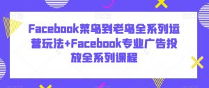 Facebook菜鸟到老鸟全系列运营玩法+Facebook专业广告投放全系列课程-创客聚集地