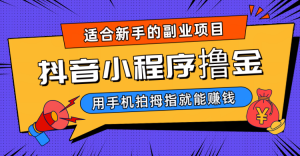 抖音小程序撸金项目，用手机每天拍个拇指挂载一下小程序就能赚钱-创客聚集地