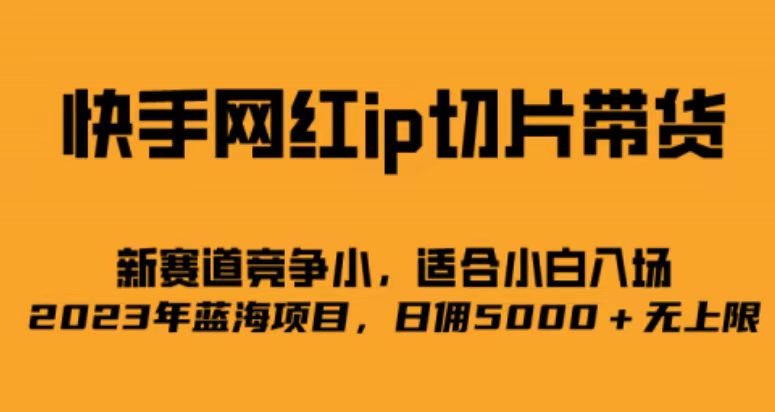 快手网红ip切片新赛道，竞争小，适合小白  2023蓝海项目-创客聚集地