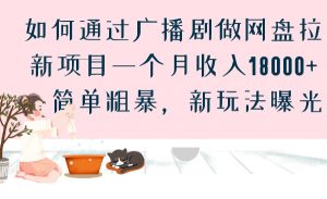 如何通过广播剧做网盘拉新项目一个月收入18000+，简单粗暴，新玩法曝光-创客聚集地