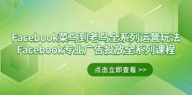 Facebook-菜鸟到老鸟全系列运营玩法+Facebook-专业广告投放全系列课程-创客聚集地