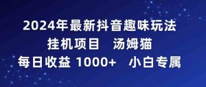 2024年最新抖音趣味玩法挂机项目 汤姆猫每日收益1000多小白专属-创客聚集地