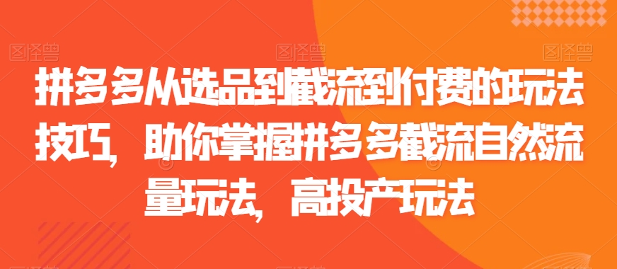 拼多多从选品到截流到付费的玩法技巧，助你掌握拼多多截流自然流量玩法，高投产玩法-创客聚集地