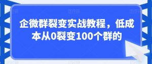 企微群裂变实战教程，低成本从0裂变100个群的-创客聚集地