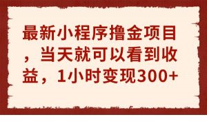 最新小程序撸金项目,当天就可以看到收益,1小时变现300+-创客聚集地