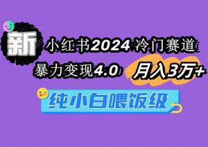 小红书2024冷门赛道 月入3万+ 暴力变现4.0 纯小白喂饭级-创客聚集地