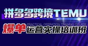 拼多多跨境TEMU爆单运营实操培训班 海外拼多多的选品、运营、爆单-创客聚集地