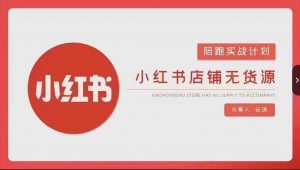 安琪-小红书店铺无货源实战，开店到售后全流程操作-创客聚集地