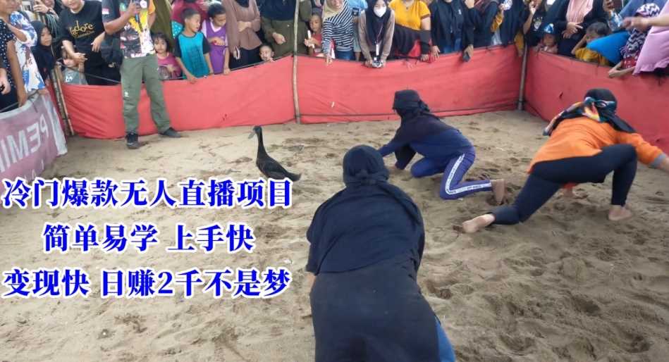 冷门爆款无人直播项目，简单易学上手快，变现快日赚2千不是梦【揭秘】-创客聚集地