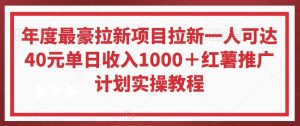 年度最豪拉新项目拉新一人可达40元单日收入1000＋红薯推广计划实操教程【揭秘】-创客聚集地