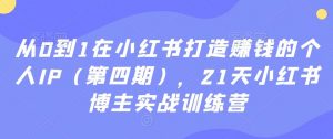 从0到1在小红书打造赚钱的个人IP（第四期），21天小红书博主实战训练营-创客聚集地
