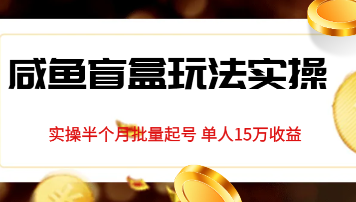 独家首发咸鱼盲盒玩法实操，半个月批量起号单人15万收益揭秘-创客聚集地