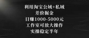 利用淘宝公域+私域差价掘金，日赚1000-5000元，工作室可放大操作，实操稳定半年【揭秘】-创客聚集地
