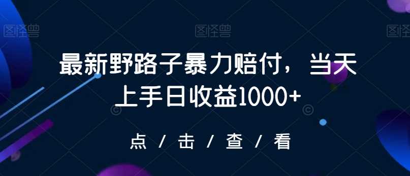 最新野路子暴力赔付，当天上手日收益1000+【仅揭秘】-创客聚集地