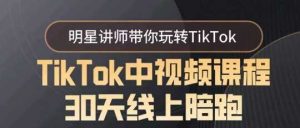 TikTok中视频课程30天线上陪跑，明星讲师带你玩转TikTok-创客聚集地