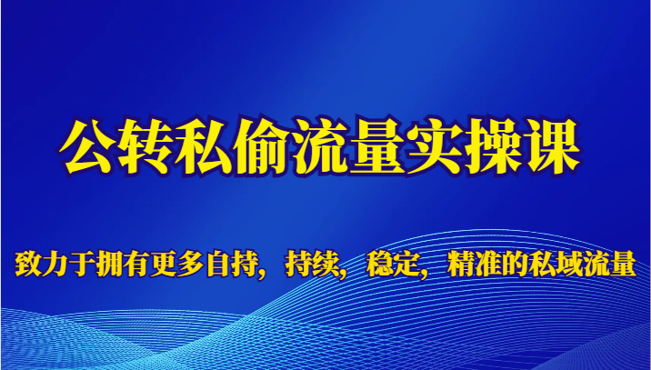 公转私偷流量实操课，致力于拥有更多自持，持续，稳定，精准的私域流量-创客聚集地