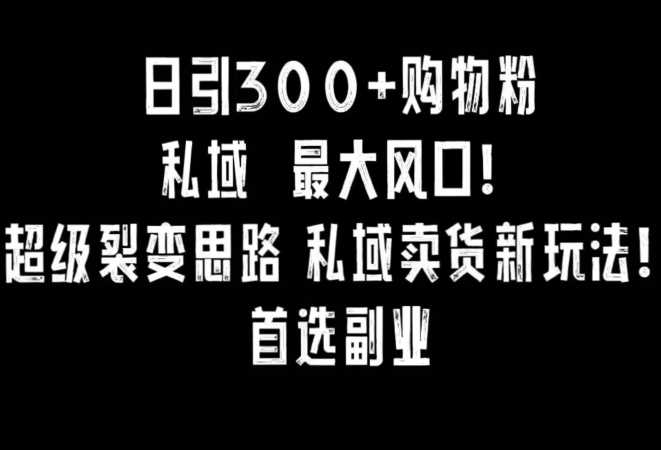 日引300+购物粉，超级裂变思路，私域卖货新玩法，小红书首选副业【揭秘】-创客聚集地