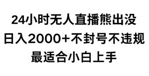 快手24小时无人直播熊出没，不封直播间，不违规，日入2000+，最适合小白上手，保姆式教学【揭秘】-创客聚集地