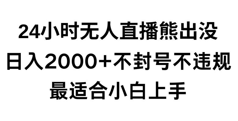 快手24小时无人直播熊出没，不封直播间，不违规，日入2000+，最适合小白上手，保姆式教学【揭秘】-创客聚集地