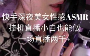 快手深夜美女性感ASMR挂机直播，小白也能做，一场直播两千+-创客聚集地