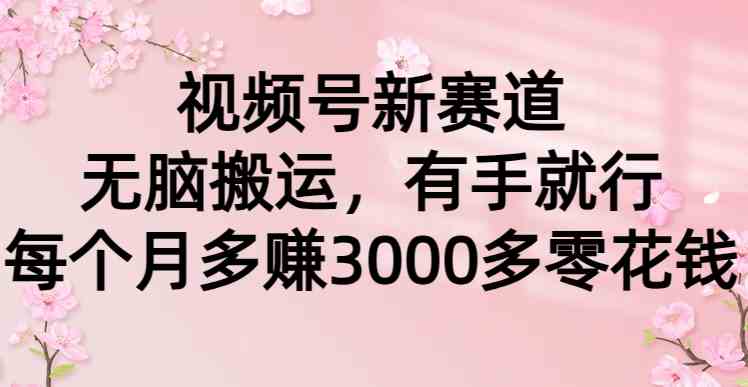 视频号新赛道，无脑搬运，有手就行，每个月多赚3000多零花钱-创客聚集地