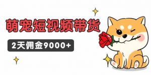 东哲日记·萌宠短视频带货，2天佣金9000+-创客聚集地